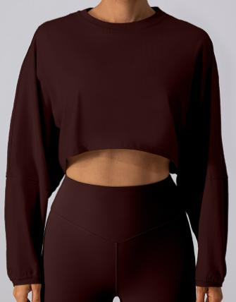Cropped Long-Sleeve Sweatshirt