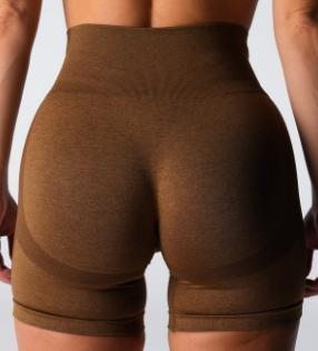 Seamless High-Waist Biker Shorts