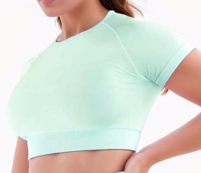 Seamless Fitted Crop Tee