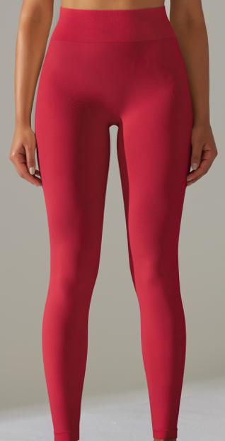 Seamless High-Waist Legging