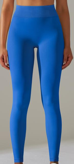 Seamless High-Waist Legging