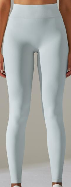 Seamless High-Waist Legging