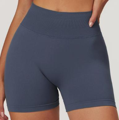 Seamless Contour Bike Shorts