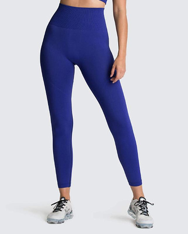 Seamless High-Waist Legging