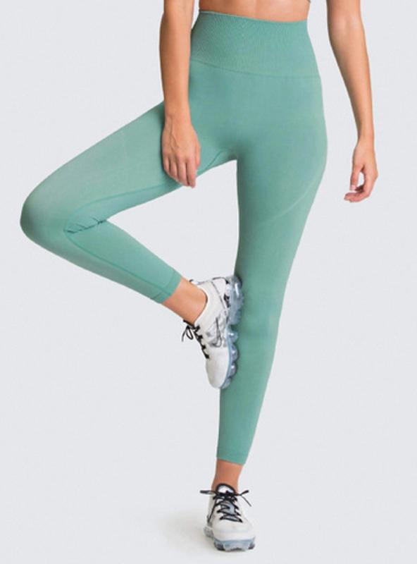 Seamless High-Waist Legging