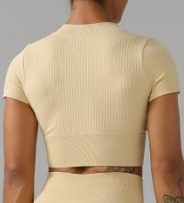 Seamless Ribbed Zip Crop Top