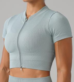 Seamless Ribbed Zip Crop Top