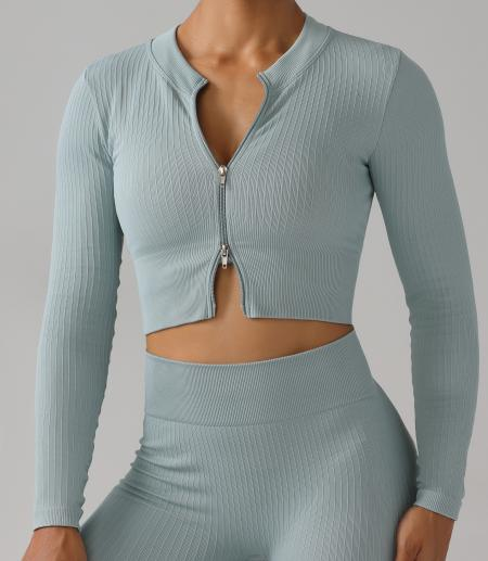 Seamless Ribbed Zip Long Sleeve Crop