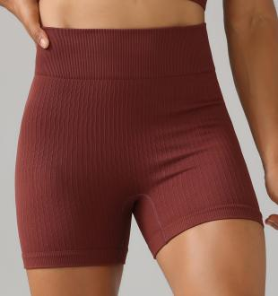 Seamless Ribbed Bike Shorts