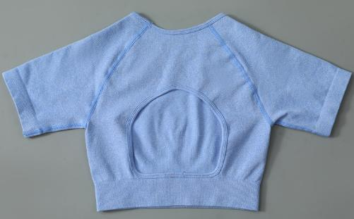 Seamless Open-Back Short-Sleeve Crop Top
