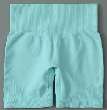 Seamless Ribbed High-Waist Legging