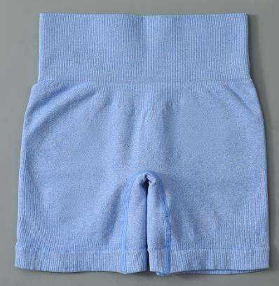 Seamless Ribbed Biker Shorts