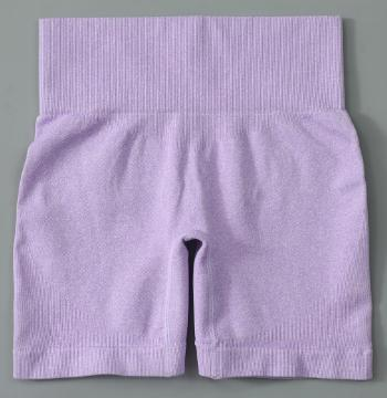 Seamless Ribbed Biker Shorts