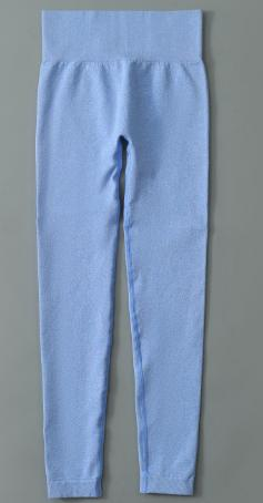 Seamless Ribbed Legging