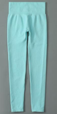 Seamless Ribbed Legging