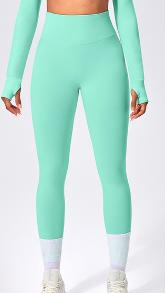 Seamless Color Block Legging