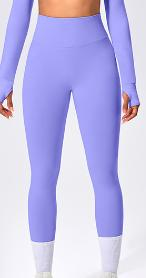 Seamless Color Block Legging