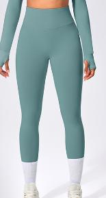 Seamless Color Block Legging