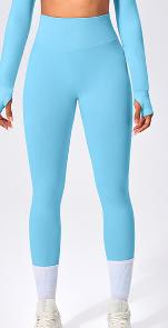 Seamless Color Block Legging