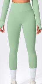 Seamless Color Block Legging