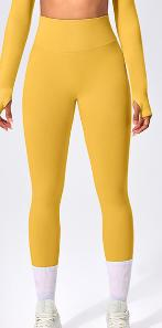 Seamless Color Block Legging