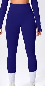 Seamless Color Block Legging