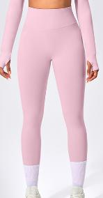 Seamless Color Block Legging