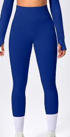 Seamless Color Block Legging