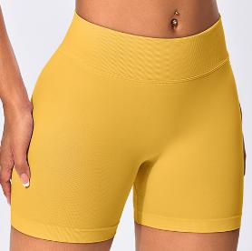 Seamless Ribbed Waist Bike Shorts