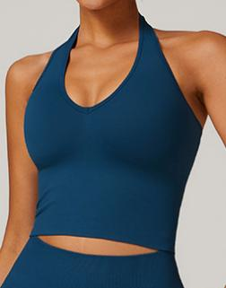 Seamless Ribbed Halter Crop Top