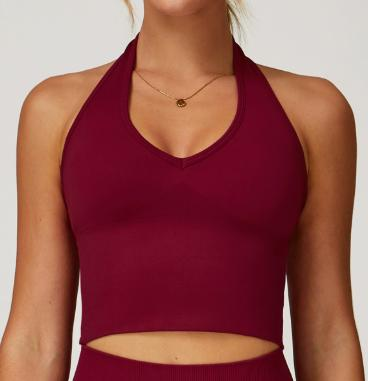 Seamless Halter Crop Top